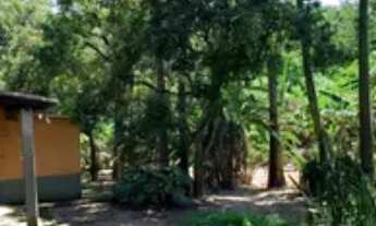 Imagem 2: Chácara a venda - Rod. Nilo Máximo, Jacareí