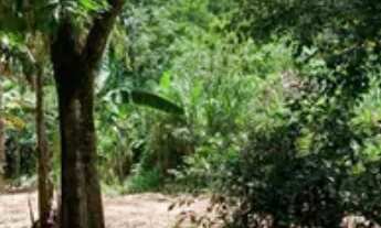 Imagem 5: Chácara a venda - Rod. Nilo Máximo, Jacareí