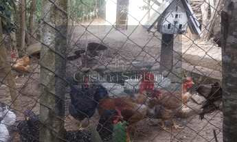 Imagem 6: Chácara Residencial à Venda! Jardim Satélite, São José dos Campos 2 dormitórios; 2 banhei