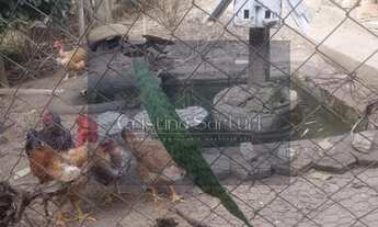 Imagem 5: Chácara Residencial à Venda! Jardim Satélite, São José dos Campos 2 dormitórios; 2 banhei