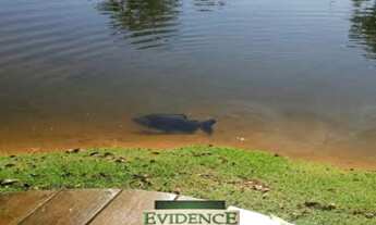 Imagem 6: TERRENO EM CONDOMÍNIO EVIDENCE