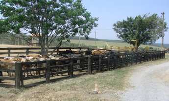 Imagem: HARAS EM SALTO DE PIRAPORA - SP