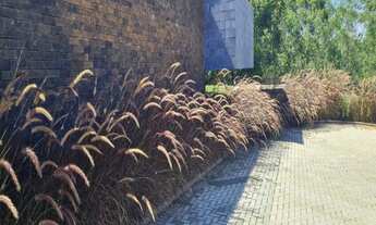 Imagem 3: CASAS EM CONDOMÍNIO - TERRAS DE SÃO JOSÉ II