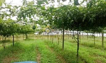 Imagem 2: SITIO RESIDENCIAL em SÃO MIGUEL ARCANJO - SP, ABAITINGA