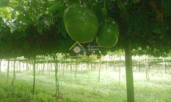 Imagem: SITIO RESIDENCIAL em SÃO MIGUEL ARCANJO