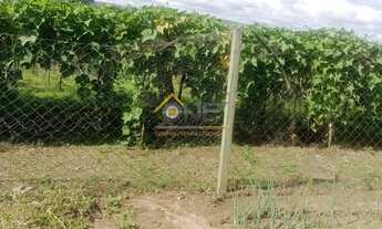 Imagem 7: SITIO RESIDENCIAL em SÃO MIGUEL ARCANJO - SP, ABAITINGA