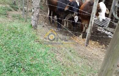 Imagem 3: SITIO RURAL em ITAPERAI - SP, PRINCESA ISABEL
