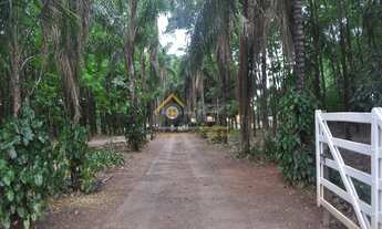 Imagem: SITIO RURAL em COSMORAMA - SP, KM 501