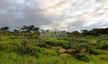 Imagem 7: TERRENO 20 MIL METROS, FRANCELINOS