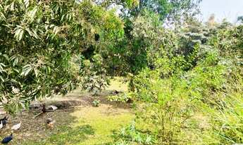 Imagem: TERRENO RESIDENCIAL em JUATUBA - MG, Satélite