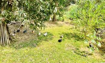 Imagem 4: TERRENO RESIDENCIAL em JUATUBA - MG, Satélite