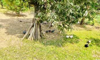Imagem 3: TERRENO RESIDENCIAL em JUATUBA - MG, Satélite
