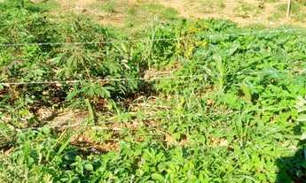 Imagem 3: TERRENO RESIDENCIAL em JUATUBA - MG, Vila Maria Regina