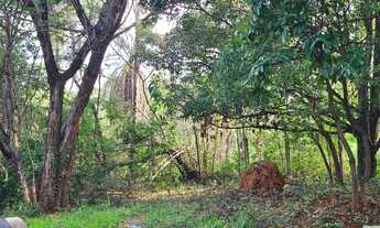 Imagem: CHACARA RESIDENCIAL em JUATUBA - MG, Quintas