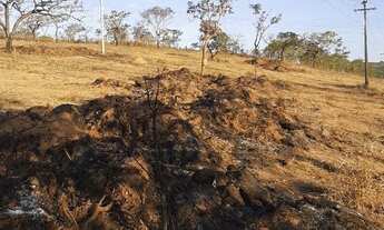 Imagem 2: TERRENO 25 MIL METROS BAIRRO VILA MARIA REGINA JUATUBA