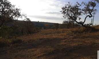 Imagem 7: TERRENO 25 MIL METROS BAIRRO VILA MARIA REGINA JUATUBA