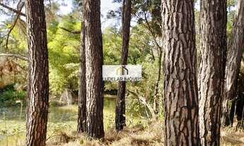 Imagem: CHACARA 1.350 METROS COM LAGOA DE FUNDOS