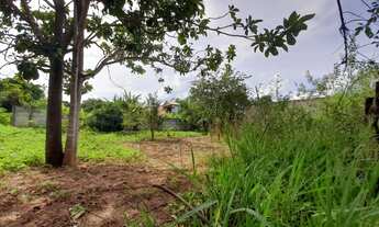 Imagem 5: Excelente lote 200 m² no Bairro Cidade Nova II, lotes planos Bairro Cidade Nova II, lotes