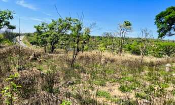 Imagem: Excelentes lotes no Bairro Vila Maria Regina