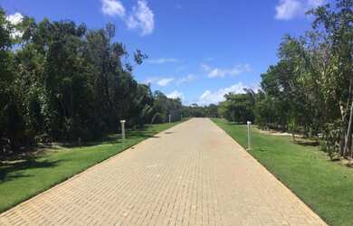 Imagem 2: ILHA DOS PÁSSAROS - LOTES DE 800M2