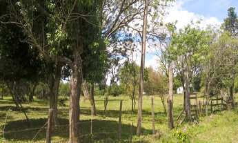 Imagem 2: TERRENO RESIDENCIAL em Uruguaiana - RS, São Marcos