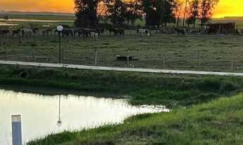 Imagem 3: TERRENO RESIDENCIAL em Uruguaiana - RS, BR 472