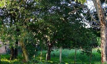 Imagem: TERRENO RESIDENCIAL em Uruguaiana - RS