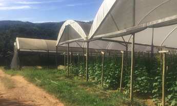 Imagem: SITIO RURAL em Itatiba - SP, Bairro da Posse