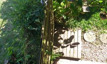 Imagem 7: CASA TEMPORADA em FLORIANÓPOLIS - SC, CAMPECHE