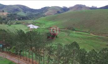 Imagem 5: Sítio Escriturado com 4,5 halqueires em SJC