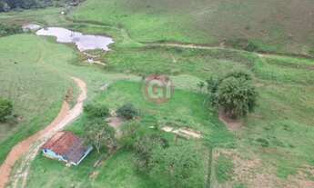 Imagem 6: Sítio Escriturado com 4,5 halqueires em SJC