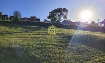Imagem: TERRENO DE 1000 METROS EXCELENTE TOPOGRAFIA
