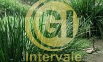 Imagem 4: Chacara rural para Venda - São Francisco Xavier - SP, Casa principal mais 2 chales complet