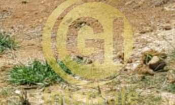 Imagem 4: Terreno em Condomínio à Venda em São José dos Campos-SP - Bairro Loteamento Floresta: 260