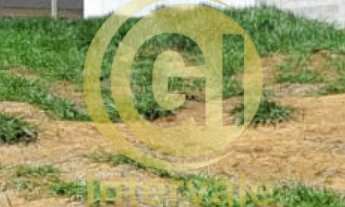 Imagem 5: Terreno em Condomínio à Venda em São José dos Campos-SP - Bairro Loteamento Floresta: 260