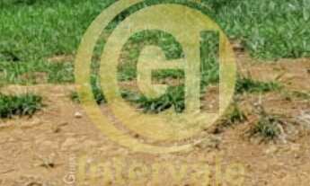 Imagem: Terreno em Condomínio à Venda em São