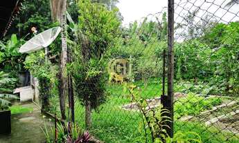 Imagem 6: Chacara no pingo dagua 2 quartos 2 banheiro galinheiro plantações. Oportunidade