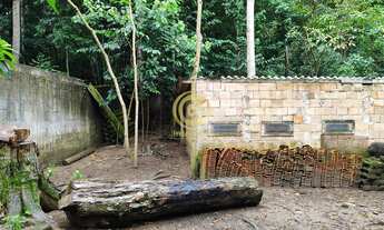 Imagem 3: Chacara no pingo dagua 2 quartos 2 banheiro galinheiro plantações. Oportunidade