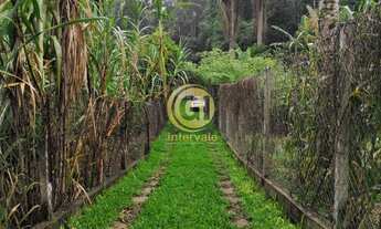 Imagem 4: Chacara no pingo dagua 2 quartos 2 banheiro galinheiro plantações. Oportunidade