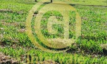 Imagem 3: Terreno Residencial Ecopark Bourbon