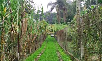 Imagem 2: Chacara no pingo dagua 2 quartos 2 banheiro galinheiro plantações. Oportunidade