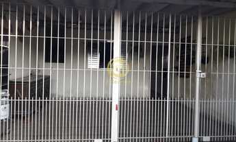 Imagem: Imperdível casa à venda em São José