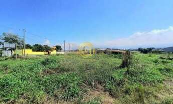 Imagem 7: Área Plana de 20.000 m² a venda no Bairro do Grama em Caçapava/SP