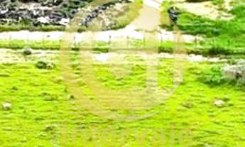 Imagem: AREA COMERCIAL A VENDA COM 35.398 M² EM