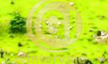 Imagem 3: AREA COMERCIAL A VENDA COM 35.398 M² EM CAÇAPAVA/SP Terreno Plano excelente topografia