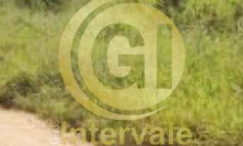 Imagem 2: Área Plana de 20.000 m² a venda no Bairro do Grama em Caçapava/SP