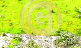 Imagem 4: AREA COMERCIAL A VENDA COM 35.398 M² EM CAÇAPAVA/SP Terreno Plano excelente topografia