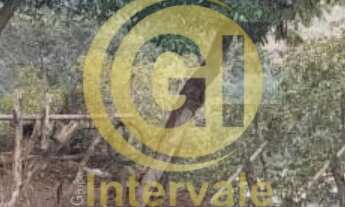 Imagem 3: TERRENO DE 2.000 m² NO PANORAMA - JACAREÍ - SP