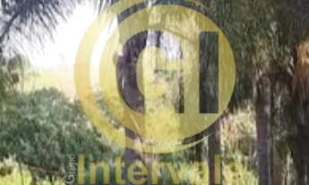 Imagem 3: LINDA CHÁCARA A VENDA NO CHÁCARAS SANTA MARIA JACAREÍ