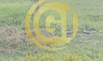 Imagem 4: LINDA CHÁCARA A VENDA NO CHÁCARAS SANTA MARIA JACAREÍ